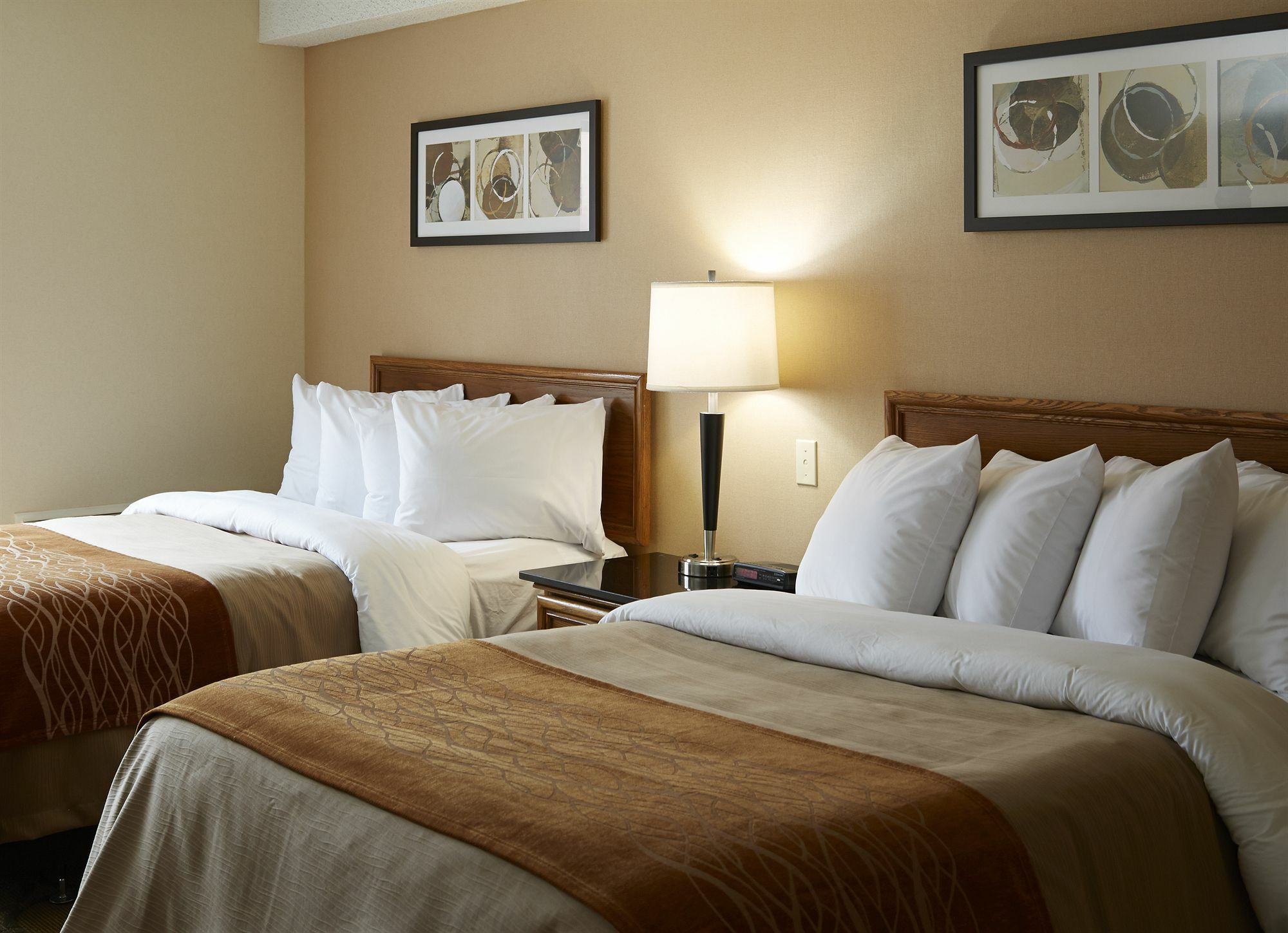 Comfort Inn Kingston Highway 401 Exterior foto